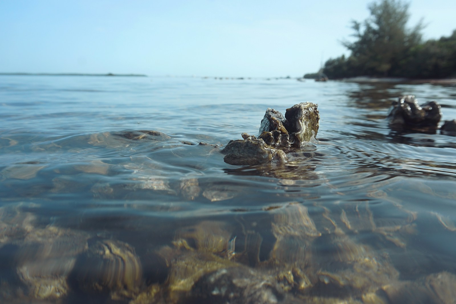 rock on water during daytime