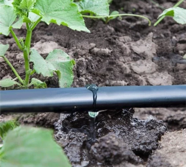 agriculture-drip-irrigation-pipe00265036126